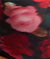 Rose Print