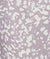 Animal Grey