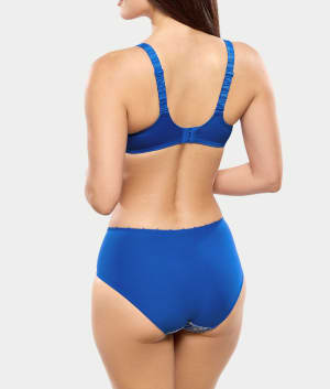 Blue Lazuli