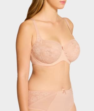 Cameo Rose