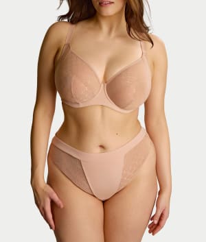 Cameo Rose