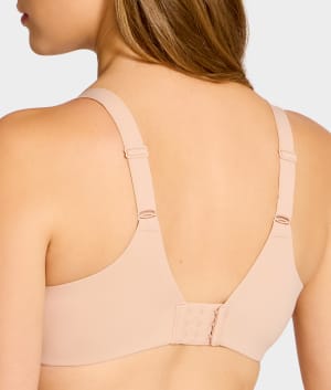 Cameo Rose