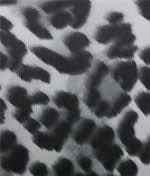 Grey Leopard