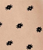 Fairly Light / Black