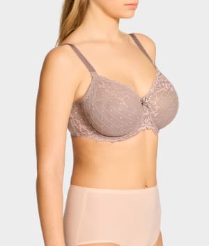 Bronzed Taupe / Rose Sable