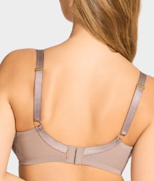 Bronzed Taupe / Rose Sable