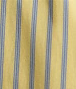 Ainsley Stripe