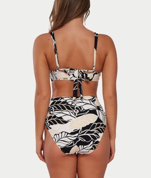 Wild Whimsy
