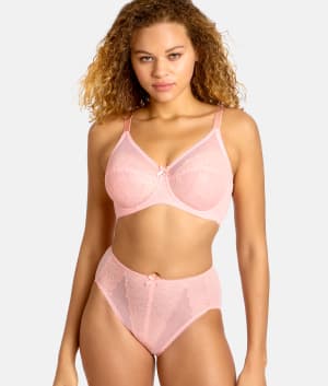 Retro Chic Hi-Cut Brief: undefined