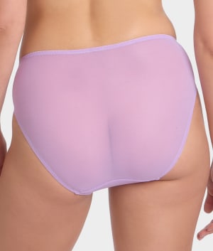Lavender Sage / Dark Purple
