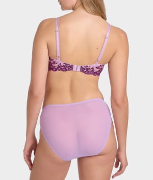 Lavender Sage / Dark Purple
