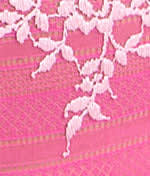 Wild Azalea / Cradle Pink