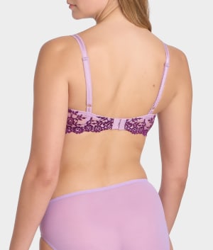 Lavender Sage / Dark Purple