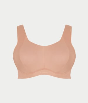 Dusty Rose