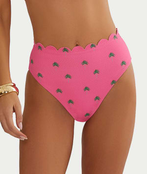 Flamingo Fronds