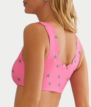 Flamingo Fronds