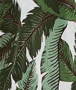 Banana Palms