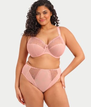 Zarla Hi-Cut Brief: undefined