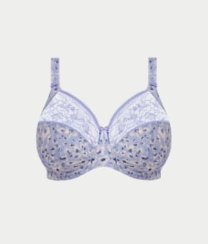 Blue Leopard