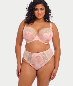 Lucie High Leg Brief: undefined