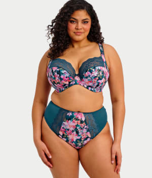 Lucie High Leg Brief: undefined