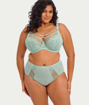 Brianna Full Brief: undefined