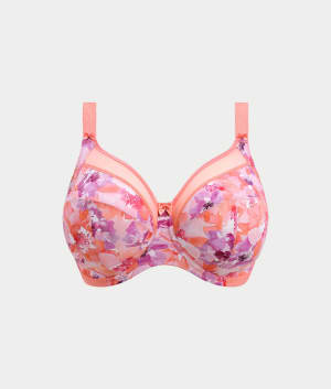 Coral Petal