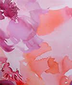 Coral Petal