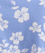 Hydrangea Sketch Floral