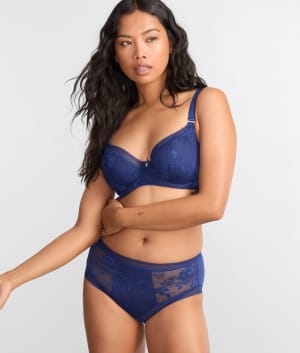Fusion Lace Brief: undefined
