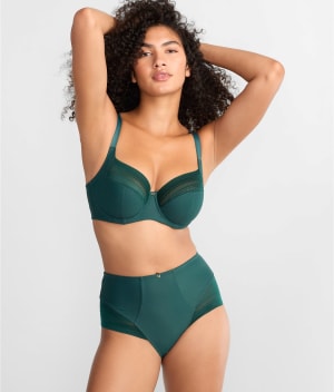 Serene Brief: undefined