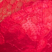 Orchid / Red