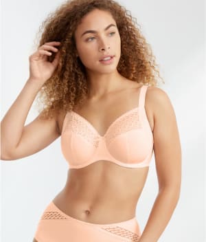 Montara Full Cup Bra: undefined