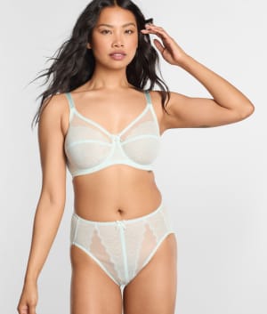 Retro Chic Hi-Cut Brief: undefined