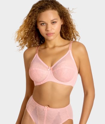 Apricot Blush