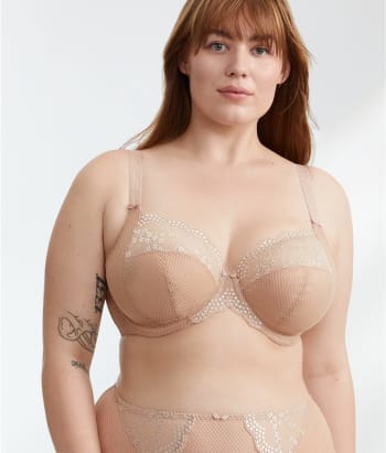 Fawn